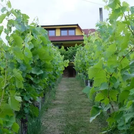 Vikend Hisa Vrhe Villa Senovo Exterior photo